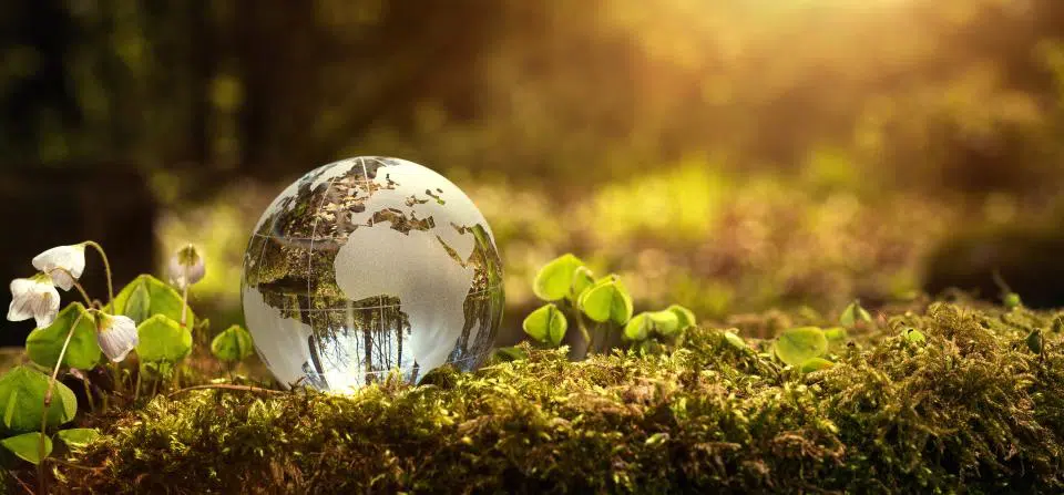 Devenir Ingénieur Qualité-Sécurité-Environnement