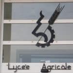 Professeure dans l'enseignement agricole