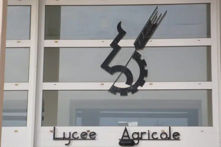 Professeure dans l'enseignement agricole